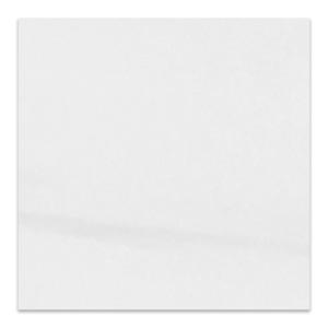 24x24 Bianco Dolomite Marble Tile Polished
