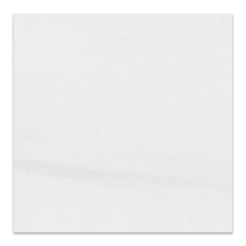 24x24 Bianco Dolomite Marble Tile Polished