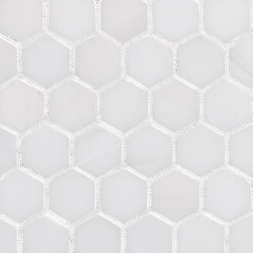 Bianco Dolomite Marble 1
