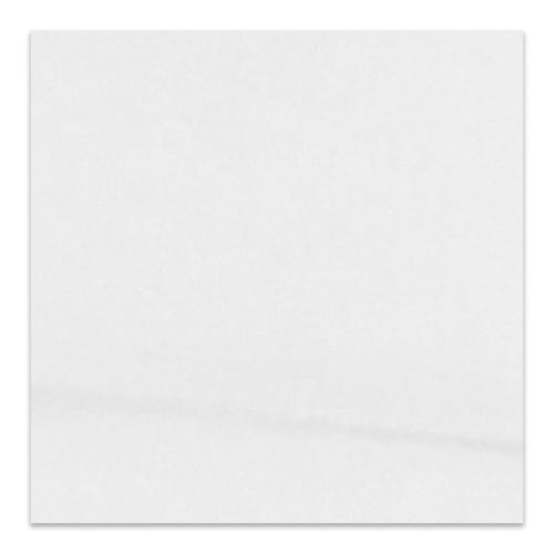 36x36 Bianco Dolomite Marble Tile Polished