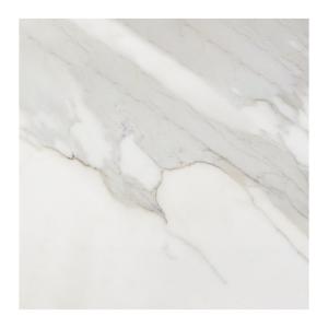 36x36 Calacatta Gold Italian Marble Tile Polished