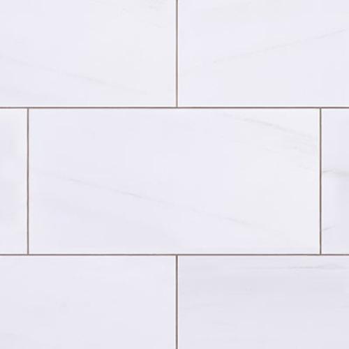 9x18 Bianco Dolomite Marble Subway Tile Honed